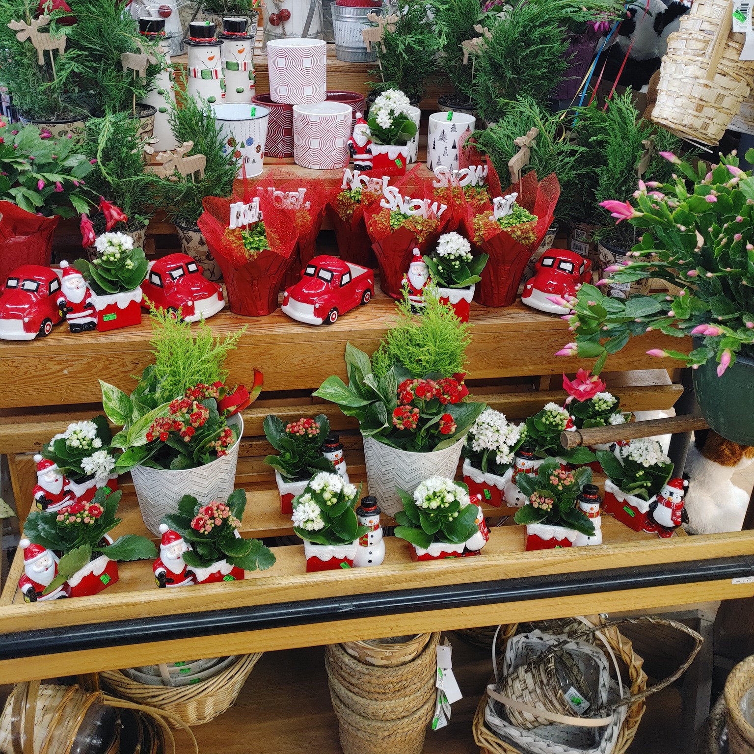 PickRite Thriftway Grocery Store in Montesano, Washington Floral